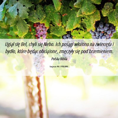 Picture 06 - Izajasza 46:1 POLUBG - Ugiął się Bel, chyli się Nebo. Ich posągi - Bible Verse Picture