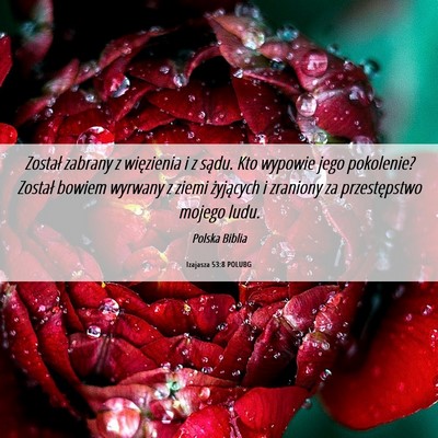 Picture 06 - Izajasza 53:8 POLUBG - Został zabrany z więzienia i z sądu. Kto - Bible Verse Picture