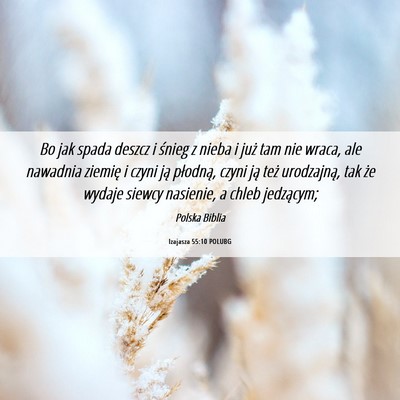 Picture 06 - Izajasza 55:10 POLUBG - Bo jak spada deszcz i śnieg z nieba i już tam - Bible Verse Picture