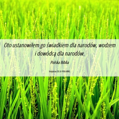 Picture 06 - Izajasza 55:4 POLUBG - Oto ustanowiłem go świadkiem dla narodów, - Bible Verse Picture