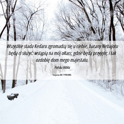 Picture 06 - Izajasza 60:7 POLUBG - Wszystkie stada Kedaru zgromadzą się u ciebie, - Bible Verse Picture
