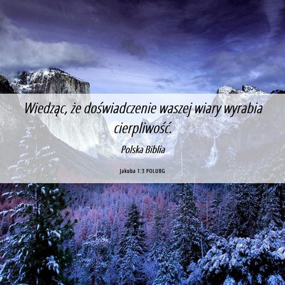 Picture 06 - Jakuba 1:3 POLUBG - Wiedząc, że doświadczenie waszej wiary wyrabia - Bible Verse Picture