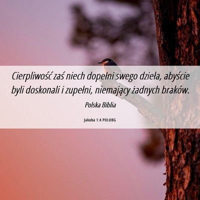 Picture 06 - Jakuba 1:4 POLUBG - Cierpliwość zaś niech dopełni swego dzieła, - Bible Verse Picture