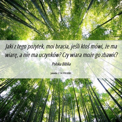 Picture 06 - Jakuba 2:14 POLUBG - Jaki z tego pożytek, moi bracia, jeśli ktoś - Bible Verse Picture