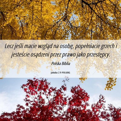 Picture 06 - Jakuba 2:9 POLUBG - Lecz jeśli macie wzgląd na osobę, popełniacie - Bible Verse Picture