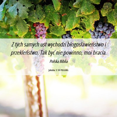 Picture 06 - Jakuba 3:10 POLUBG - Z tych samych ust wychodzi błogosławieństwo i - Bible Verse Picture