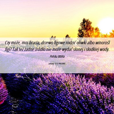 Picture 06 - Jakuba 3:12 POLUBG - Czy może, moi bracia, drzewo figowe rodzić - Bible Verse Picture