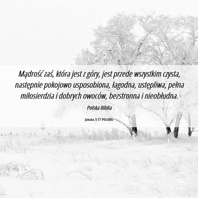 Picture 06 - Jakuba 3:17 POLUBG - Mądrość zaś, która jest z góry, jest przede - Bible Verse Picture