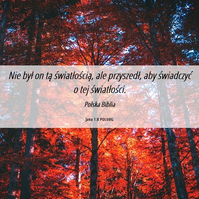Picture 06 - Jana 1:8 POLUBG - Nie był on tą światłością, ale przyszedł, - Bible Verse Picture