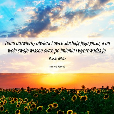 Picture 06 - Jana 10:3 POLUBG - Temu odźwierny otwiera i owce słuchają jego - Bible Verse Picture