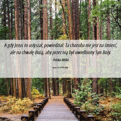 Picture 06 - Jana 11:4 POLUBG - A gdy Jezus to usłyszał, powiedział: Ta - Bible Verse Picture