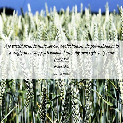 Picture 06 - Jana 11:42 POLUBG - A ja wiedziałem, że mnie zawsze wysłuchujesz, - Bible Verse Picture