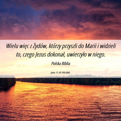 Picture 06 - Jana 11:45 POLUBG - Wielu więc z Żydów, którzy przyszli do Marii - Bible Verse Picture