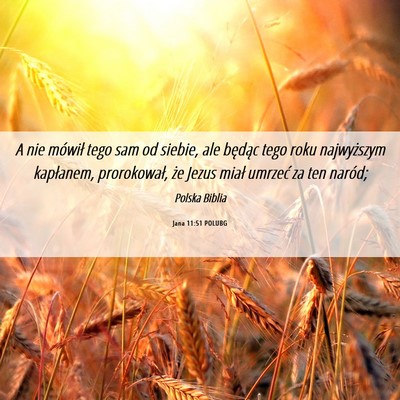 Picture 06 - Jana 11:51 POLUBG - A nie mówił tego sam od siebie, ale będąc - Bible Verse Picture