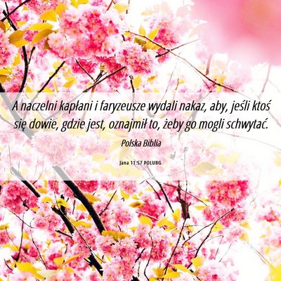 Picture 06 - Jana 11:57 POLUBG - A naczelni kapłani i faryzeusze wydali nakaz, - Bible Verse Picture