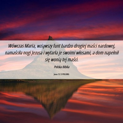 Picture 06 - Jana 12:3 POLUBG - Wówczas Maria, wziąwszy funt bardzo drogiej - Bible Verse Picture