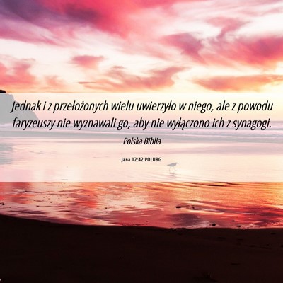 Picture 06 - Jana 12:42 POLUBG - Jednak i z przełożonych wielu uwierzyło w - Bible Verse Picture