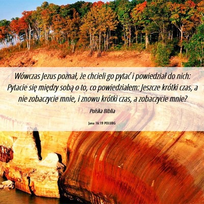 Picture 06 - Jana 16:19 POLUBG - Wówczas Jezus poznał, że chcieli go pytać i - Bible Verse Picture