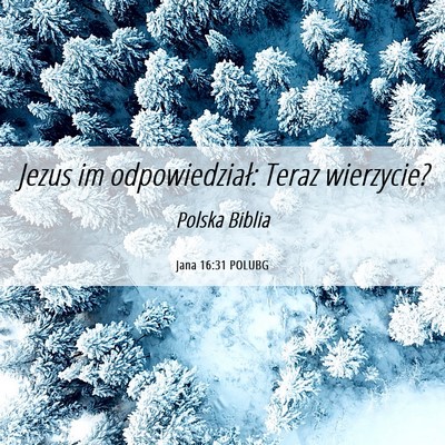 Picture 06 - Jana 16:31 POLUBG - Jezus im odpowiedział: Teraz - Bible Verse Picture