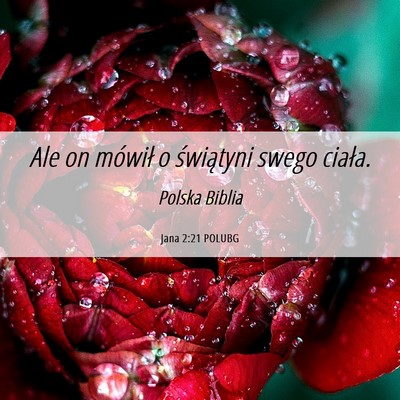 Picture 06 - Jana 2:21 POLUBG - Ale on mówił o świątyni swego - Bible Verse Picture