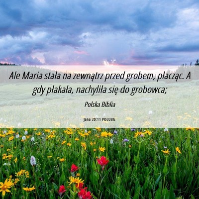 Picture 06 - Jana 20:11 POLUBG - Ale Maria stała na zewnątrz przed grobem, - Bible Verse Picture