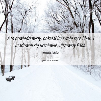 Picture 06 - Jana 20:20 POLUBG - A to powiedziawszy, pokazał im swoje ręce i - Bible Verse Picture