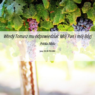 Picture 06 - Jana 20:28 POLUBG - Wtedy Tomasz mu odpowiedział: Mój Pan i mój - Bible Verse Picture
