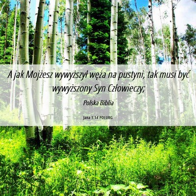 Picture 06 - Jana 3:14 POLUBG - A jak Mojżesz wywyższył węża na pustyni, tak - Bible Verse Picture