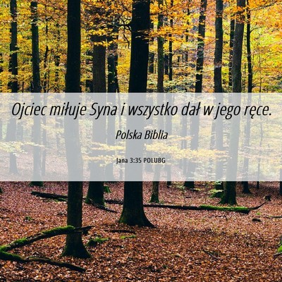 Picture 06 - Jana 3:35 POLUBG - Ojciec miłuje Syna i wszystko dał w jego - Bible Verse Picture