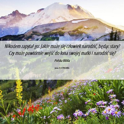 Picture 06 - Jana 3:4 POLUBG - Nikodem zapytał go: Jakże może się człowiek - Bible Verse Picture