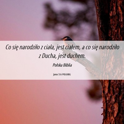 Picture 06 - Jana 3:6 POLUBG - Co się narodziło z ciała, jest ciałem, a co - Bible Verse Picture