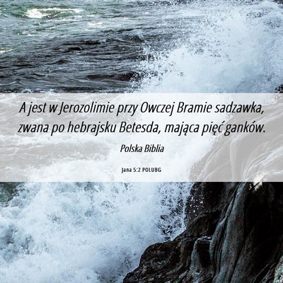 Picture 06 - Jana 5:2 POLUBG - A jest w Jerozolimie przy Owczej Bramie sadzawka, - Bible Verse Picture