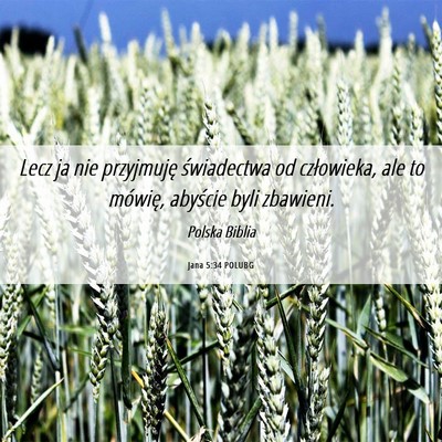 Picture 06 - Jana 5:34 POLUBG - Lecz ja nie przyjmuję świadectwa od człowieka, - Bible Verse Picture