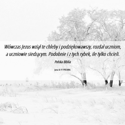 Picture 06 - Jana 6:11 POLUBG - Wówczas Jezus wziął te chleby i - Bible Verse Picture