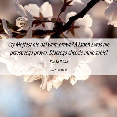 Picture 06 - Jana 7:19 POLUBG - Czy Mojżesz nie dał wam prawa? A żaden z was - Bible Verse Picture