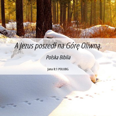 Picture 06 - Jana 8:1 POLUBG - A Jezus poszedł na Górę - Bible Verse Picture