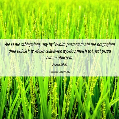 Picture 06 - Jeremiasza 17:16 POLUBG - Ale ja nie zabiegałem, aby być twoim pasterzem - Bible Verse Picture