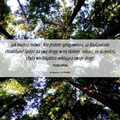 Picture 06 - Jeremiasza 2:23 POLUBG - Jak możesz mówić: Nie jestem splugawiona, za - Bible Verse Picture