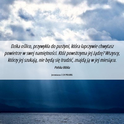 Picture 06 - Jeremiasza 2:24 POLUBG - Dzika oślico, przywykła do pustyni, która - Bible Verse Picture