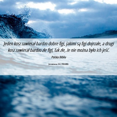 Picture 06 - Jeremiasza 24:2 POLUBG - Jeden kosz zawierał bardzo dobre figi, jakimi - Bible Verse Picture