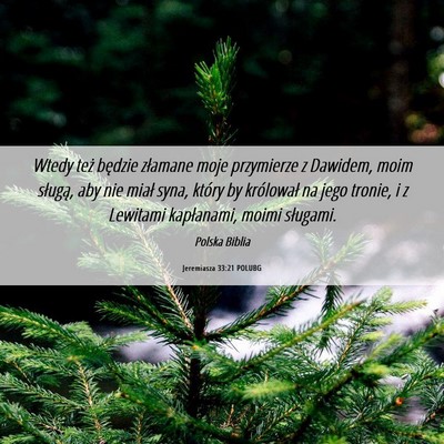 Picture 06 - Jeremiasza 33:21 POLUBG - Wtedy też będzie złamane moje przymierze z - Bible Verse Picture