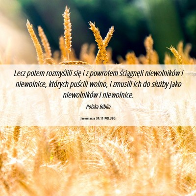 Picture 06 - Jeremiasza 34:11 POLUBG - Lecz potem rozmyślili się i z powrotem - Bible Verse Picture