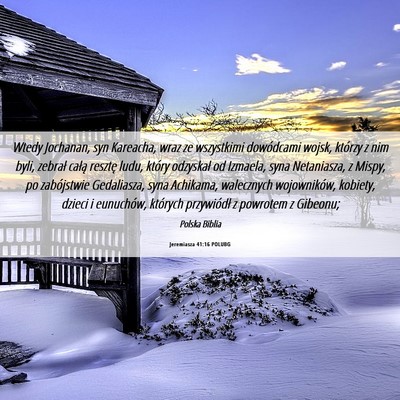 Picture 06 - Jeremiasza 41:16 POLUBG - Wtedy Jochanan, syn Kareacha, wraz ze wszystkimi - Bible Verse Picture