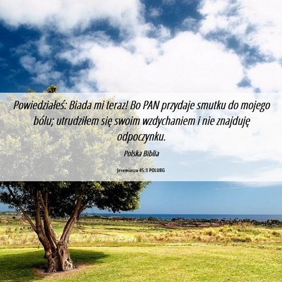 Picture 06 - Jeremiasza 45:3 POLUBG - Powiedziałeś: Biada mi teraz! Bo PAN przydaje - Bible Verse Picture