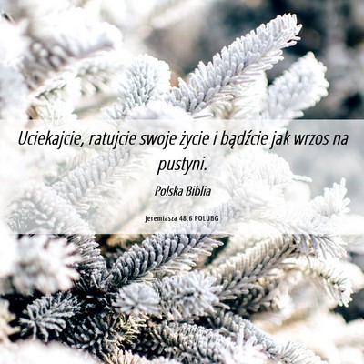 Picture 06 - Jeremiasza 48:6 POLUBG - Uciekajcie, ratujcie swoje życie i bądźcie jak - Bible Verse Picture