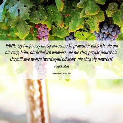 Picture 06 - Jeremiasza 5:3 POLUBG - PANIE, czy twoje oczy nie są zwrócone ku - Bible Verse Picture