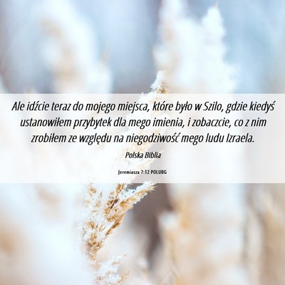 Picture 06 - Jeremiasza 7:12 POLUBG - Ale idźcie teraz do mojego miejsca, które było - Bible Verse Picture