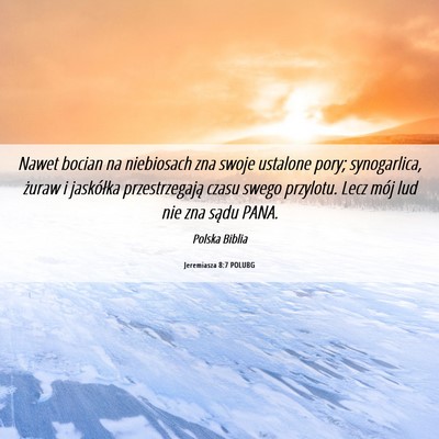 Picture 06 - Jeremiasza 8:7 POLUBG - Nawet bocian na niebiosach zna swoje ustalone - Bible Verse Picture