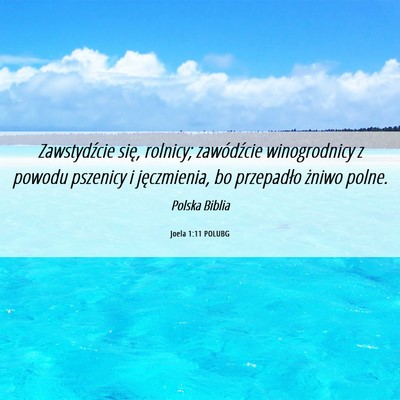 Picture 06 - Joela 1:11 POLUBG - Zawstydźcie się, rolnicy; zawódźcie - Bible Verse Picture