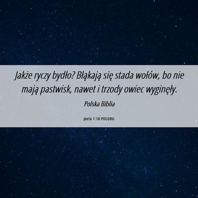 Picture 06 - Joela 1:18 POLUBG - Jakże ryczy bydło? Błąkają się stada - Bible Verse Picture